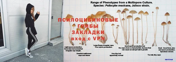 герыч Арсеньев