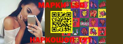 индика Гусь-Хрустальный